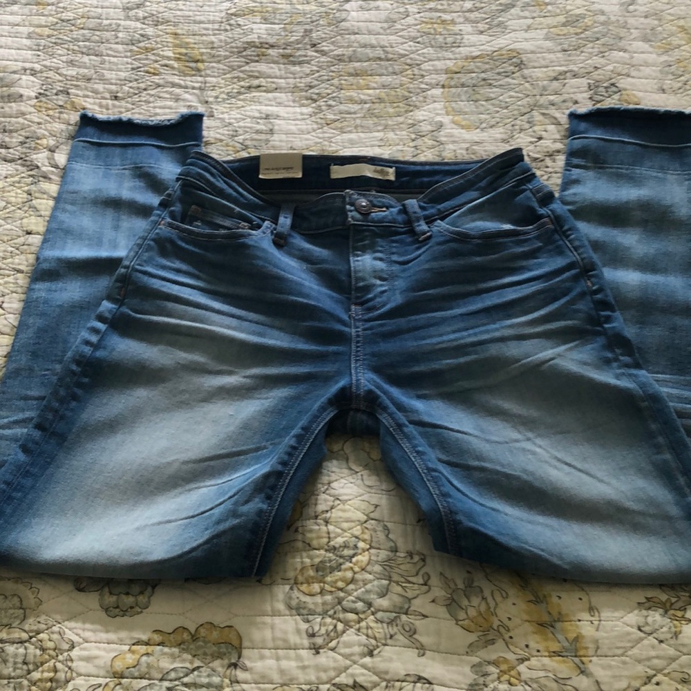 Daytrip Lynx Ankle Skinny Jeans